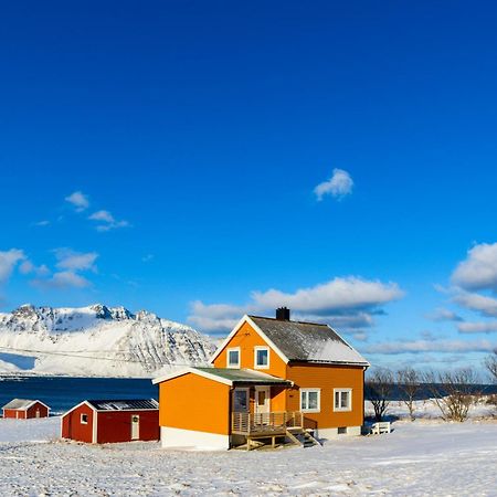 Lillevik Lofoten Gimsoy Buitenkant foto